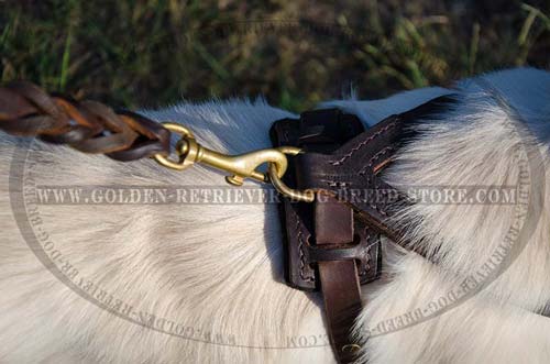 Leather Harness with Leash Attached