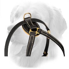 Decorated Harness for Small Dogs