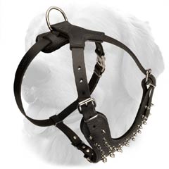 Comfortable Spiked Leather Harness