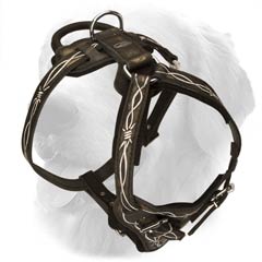 Awesome Leather Harness with Barbed Wire Drawing