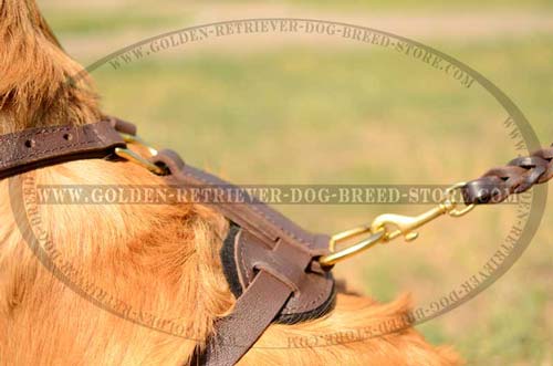 Non-Restrictive Type Leather Harness