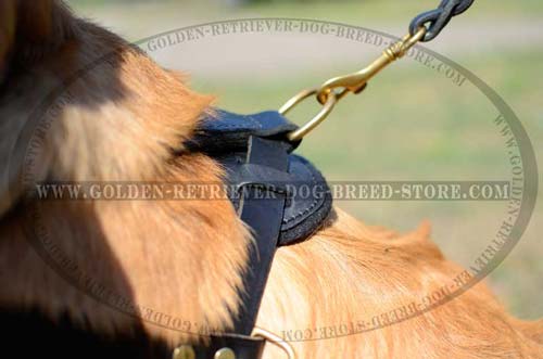 Golden Retriever Durable Leather Harness