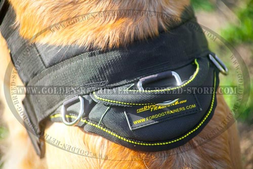 Harness for Sporty Dogs