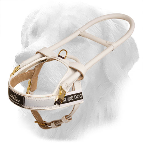 Golden Retriever Harness with Special Handles