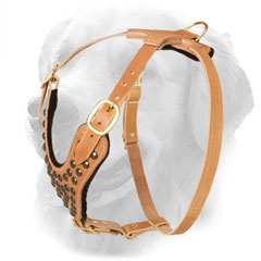 Leather Golden Retriever Harness with Inside Padding