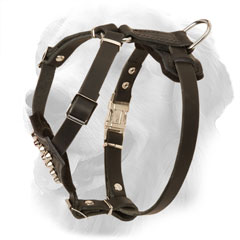 Leather Golden Retriever Harness for Puppies