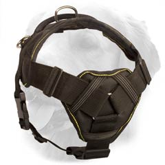 Golden Retriever Harness with Soft Chest Plate