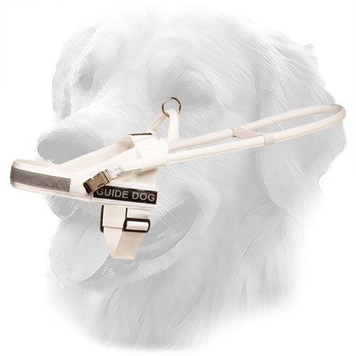 Golden Retriever Harness with Perfect Air Circulation