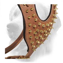 Brass Spikes on Leather Golden Retriever Harness