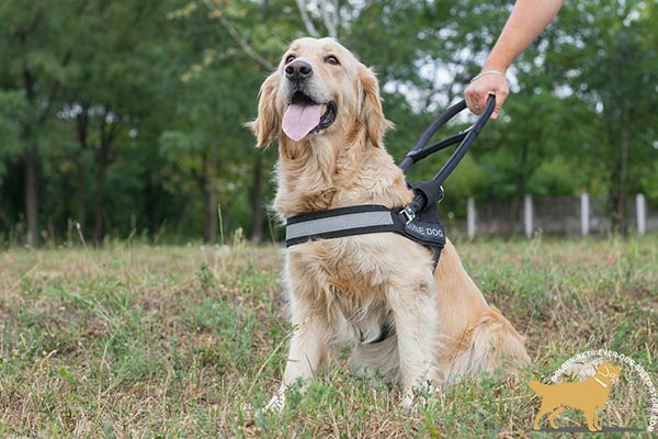 Lightweight Nylon Dog Harness with Removable Steel Handle