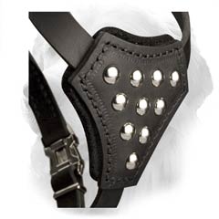 Nickel Plated Studs on Leather Golden Retriever Harness