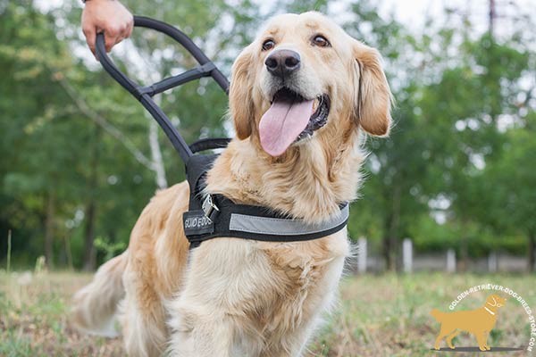 Nylon Guide Dog Harness with Reflective Strap