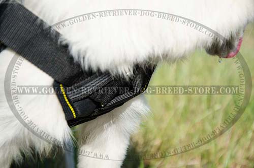 Protective Plate on Nylon Dog Harness