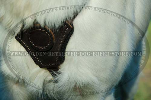 Felt Thick Padded Chest on Leather Dog Harness