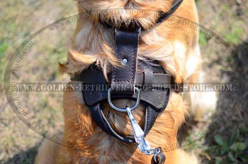 Nickel D-Ring on Leather Dog Harness