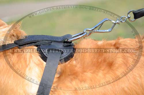 Nickel Plated D-Ring on Leather Dog Harness