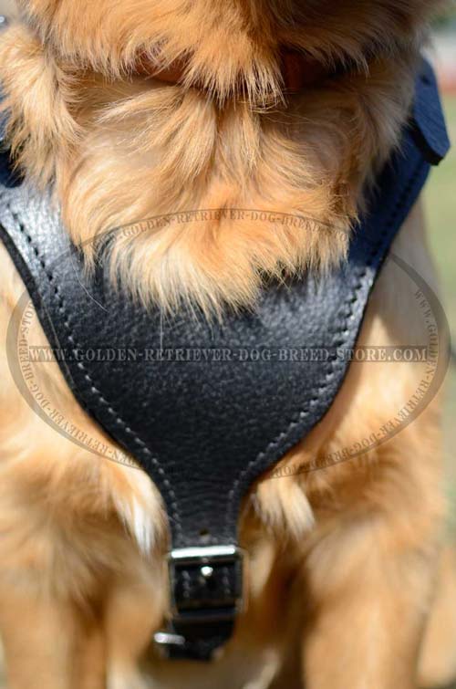 Y-Shaped Chest Plate on Leather Dog Harness