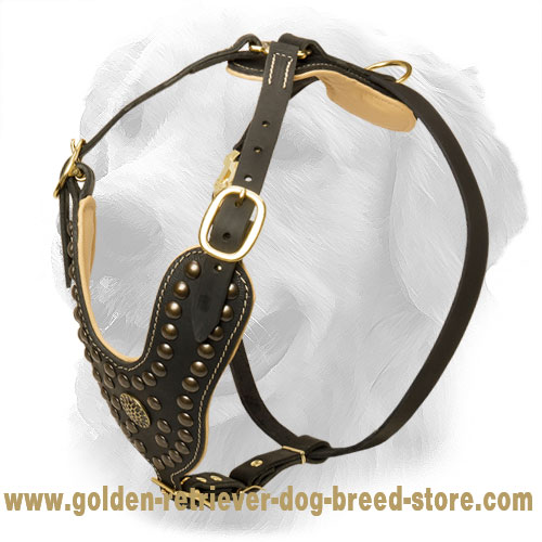 Studded leather clearance harness