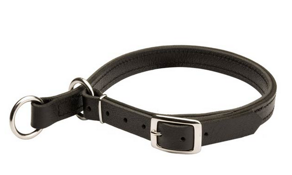 dog leash choke collar