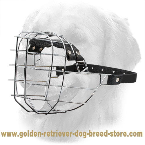 dog muzzle strap