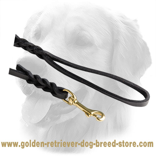 Strong Snap Hook on Leather Golden Retriever Leash 