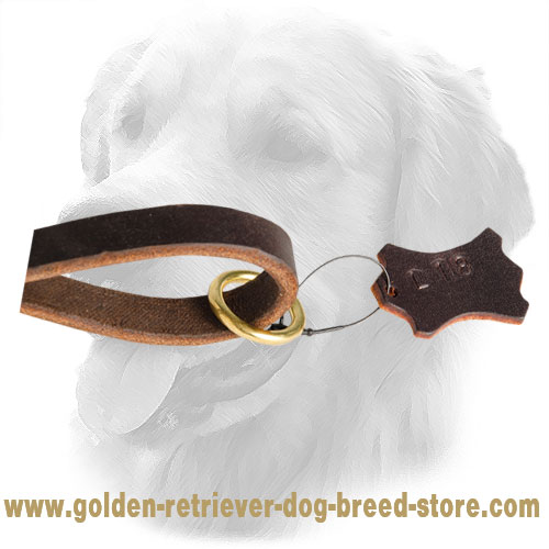 Brass O-Ring on Leather Golden Retriever Leash