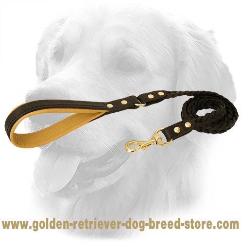Golden Retriever Dog Leather Leash Braids