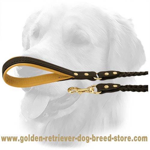 Golden Retriever Dog Leather Leash Brass Fittings