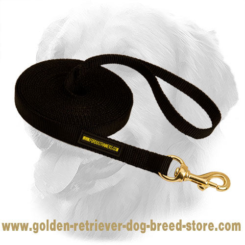 Golden Retriever Dog Nylon Leash Water Resistant