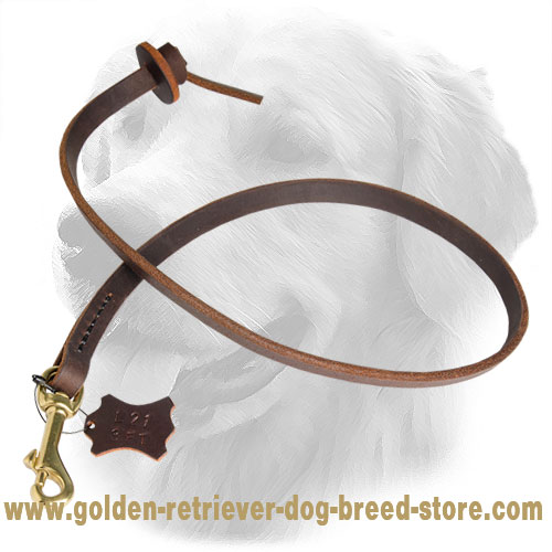 Stitched Golden Retriever Leash with Comfortable Handle