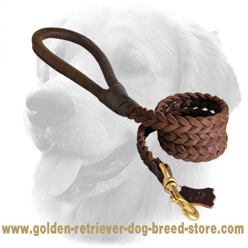 Golden Retriever Leash with Soft Leather Handle