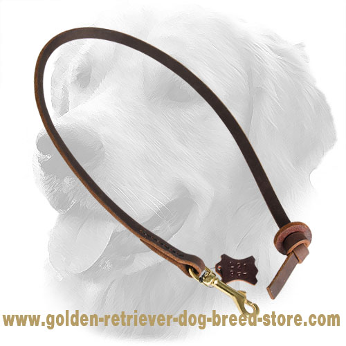 Stitched Leather Golden Retriever Leash for Training