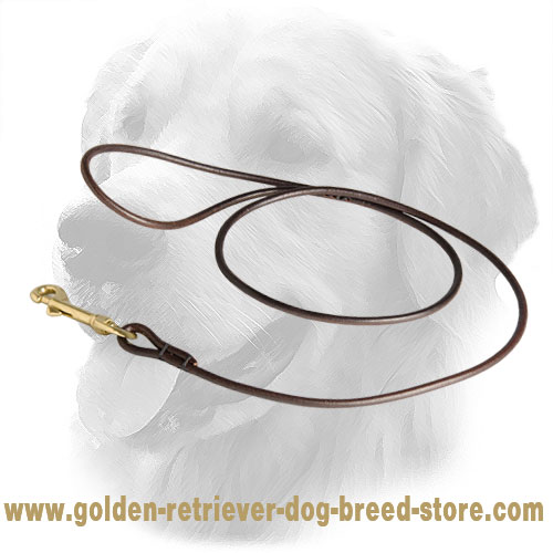Round Golden Retriever Leash for Dog Shows