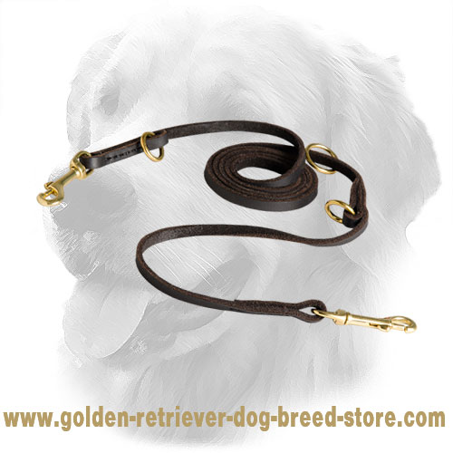  Golden Retriever Leash with Brass Fittings