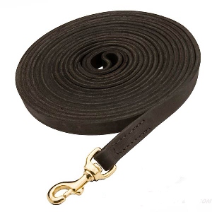 Tracking Leather Golden Retriever Leash