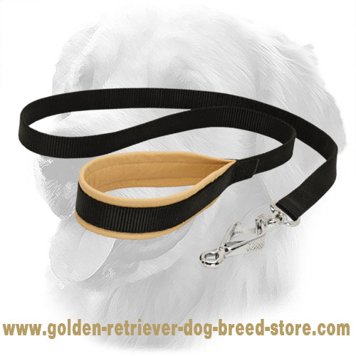 Golden Retriever Nylon Leash with Solid Snap Hook