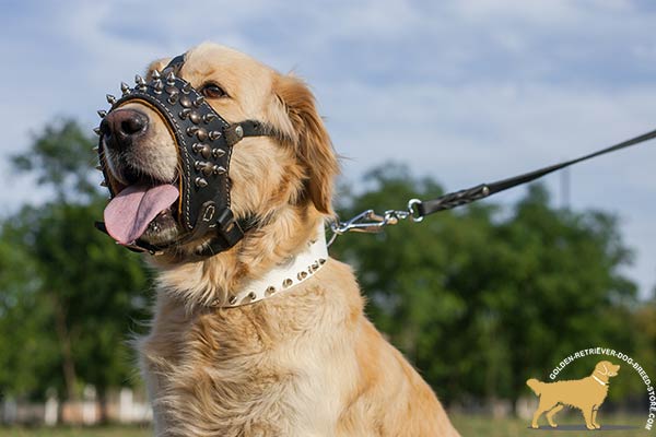 Extraordinary Designer Leather Dog Muzzle with Spikes