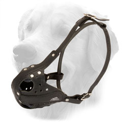 Golden Retriever Dog Leather Muzzle with Adjustable Straps