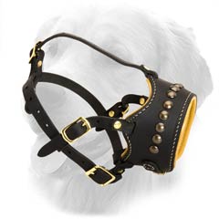 Leather Muzzle with Brass Studs