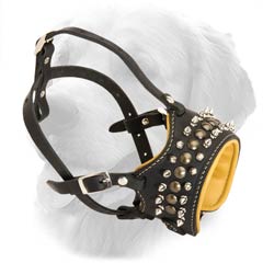 Extremely Stylish Leather Muzzle for Golden Retrievers