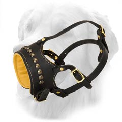Decorated with Brass Studs Leather Muzzle