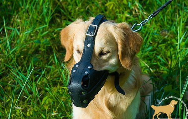 Multifunctional Golden Retriever Muzzle with  Straps