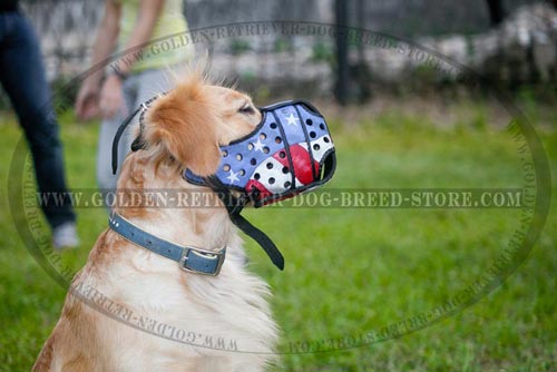 Leather Golden Retriever Muzzle with Flag Painting