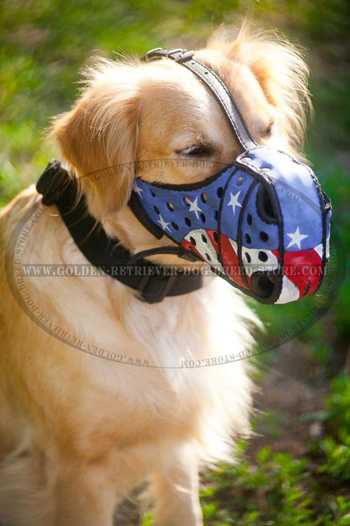 Leather Golden Retriever Muzzle with Good Air Flow
