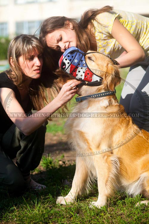 Leather Golden Retriever Muzzle for Walking