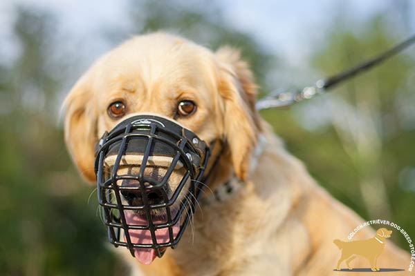 Ventilated Golden Retriever Muzzle with Padded Nose