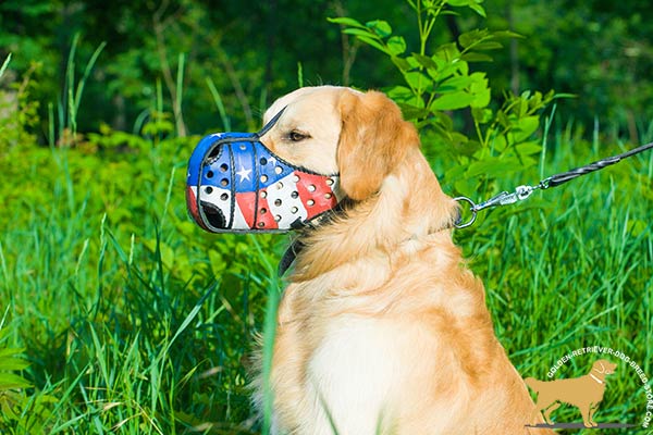 Golden-Retriever leather muzzle for air circulation with ventilation holes for better comfort