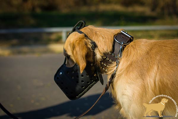 Golden-Retriever leather muzzle for snug fit with adjustable straps for basic training