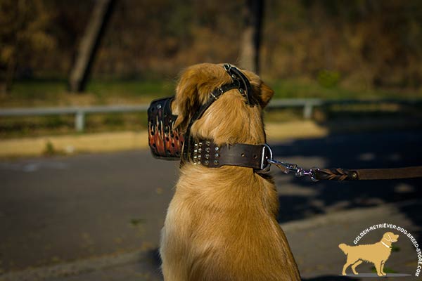 Golden-Retriever leather muzzle of genuine materials with adjustable straps for basic training