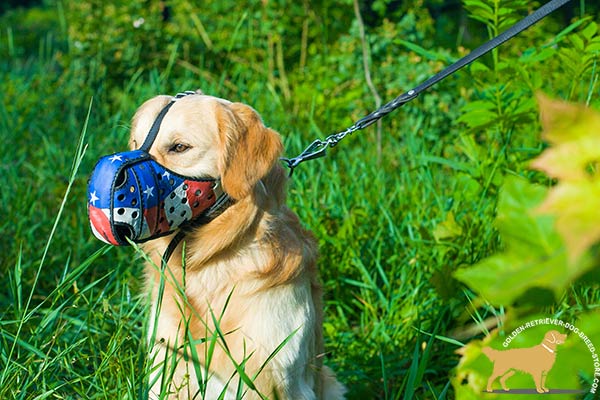 Golden-Retriever leather muzzle anti-barking with nose padding for agitation training